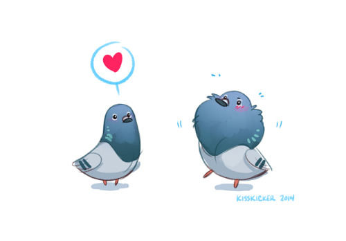kisskicker:  O majestic pigeon mating dance, how can the ladies resist you (they can’t) 