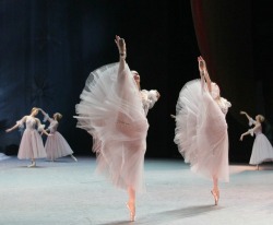 lasylphidedubolchoi:  Bolshoi’s The Nutcracker 