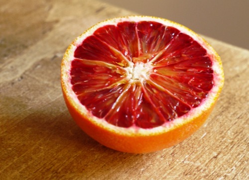 amediterraneandestiny - Blood oranges