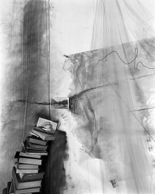 artemisdreaming:   Lauren Semivan      