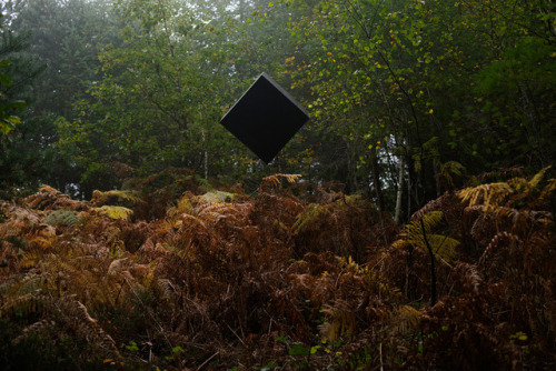 byzantienne:nevver:Dead zone, Julien CoquentinTHE CUBE GOES ON VACATIONTHE CUBE GOES HIKINGTHERE ARE