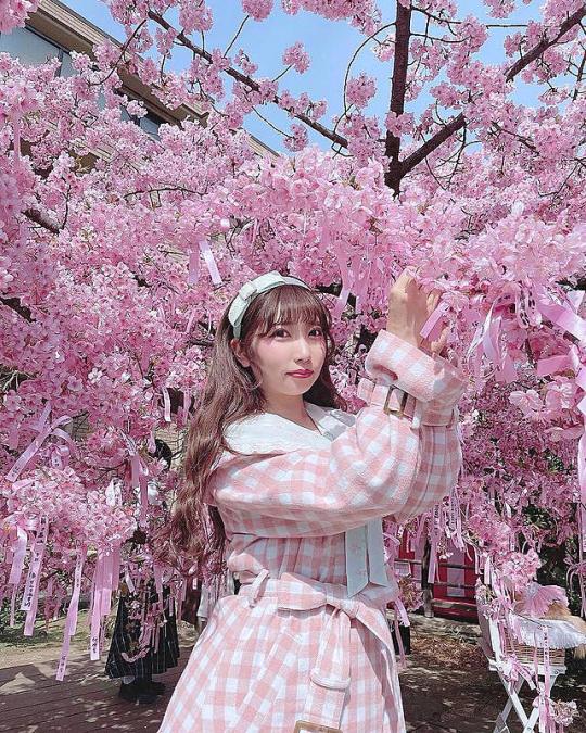 shiiperooo #shiiperooo#Japan#cherry blossom#pink#japanese fashion#Jfashion#Pink Fashion#kawaii plush#kawaii fashion #cherry blossom tree  #cherry blossom aesthetic #pink flowers#pink tree#j-fashion#flowers#floral#shrine#Japanese shrine