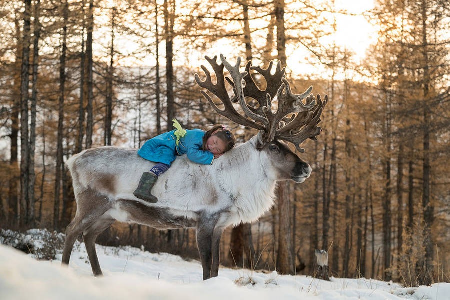 ninewhitebanners: More photos of Mongolia’s reindeer-herding minority ethnic group,