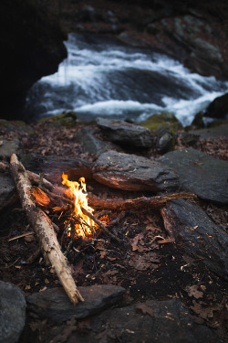 hipsterinthewilderness:   