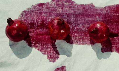 The Color of Pomegranates (1969) Dir. Sergei Parajanov 
