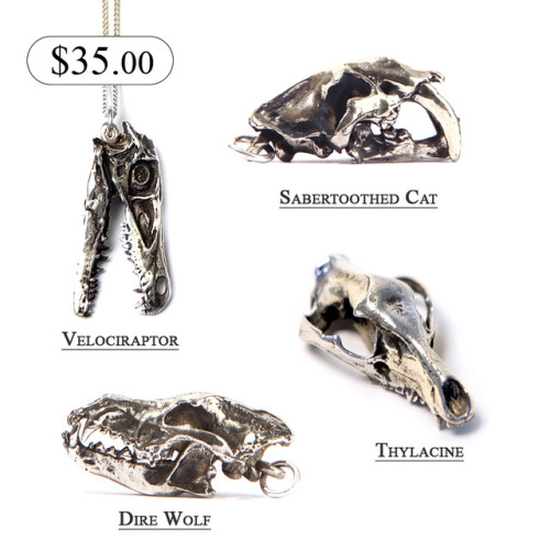 All Prehistoric and Extinct skull species are on sale!The Dire Wolf, Sabertoothed Cat, Velociraptor,