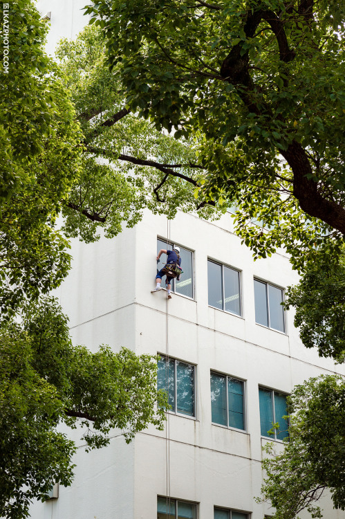 In the Trees, Hamamtsucho 浜松町