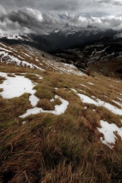 sublim-ature:  Dasel by Gustav Willeit