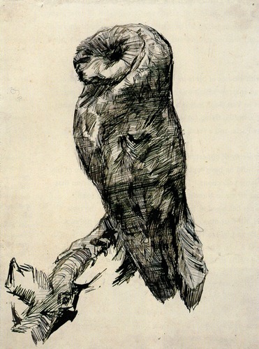 artist-vangogh: Barn Owl Viewed from the Side, 1887, Vincent van GoghMedium: ink,paper