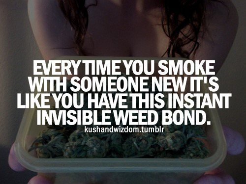 potterest-com:  kush-lounge:  Kush Lounge  Download Free ganja growing guide  Do