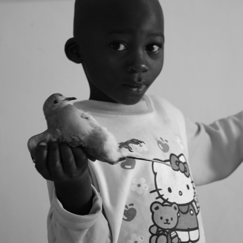 Boy with bird, Bamako, Mali, Africa.