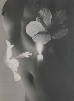 afrouif:  Max Dupain