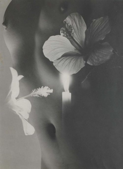 XXX afrouif:  Max Dupain photo