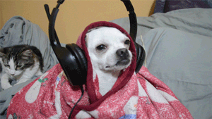 jakemalik:  “hey do you have any cool plans for the break?”    