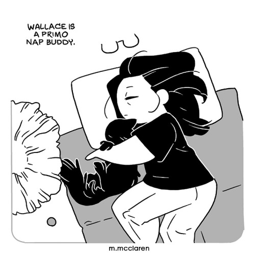 Description: An illustration of me napping with my foster cat, Wallace.  He is a primo nap buddy.