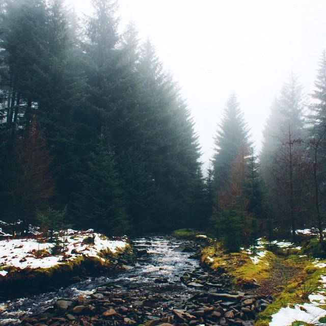 theencompassingworld:  wanderlog:  Ladyclough forest🌲🍃💦❄️☁️Photo: dpc_photography_