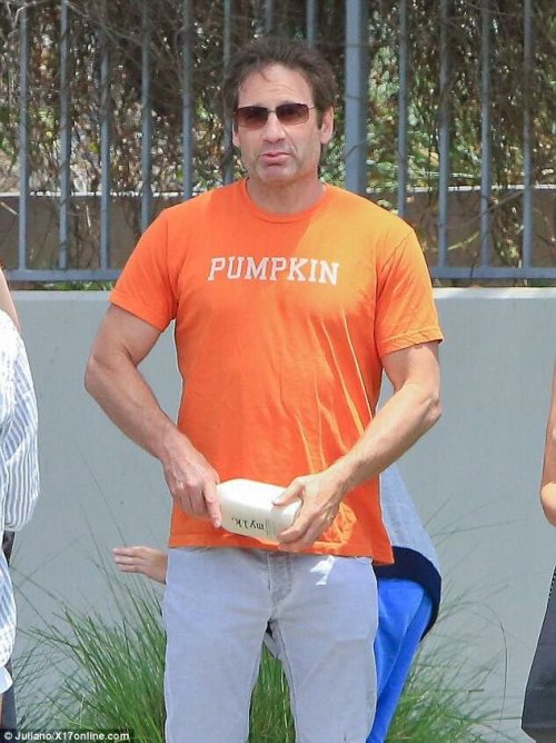 scullyitsme: dangerscully: alliwannadoisbangscrew: david duchovny’s veggie shirts This is a bl