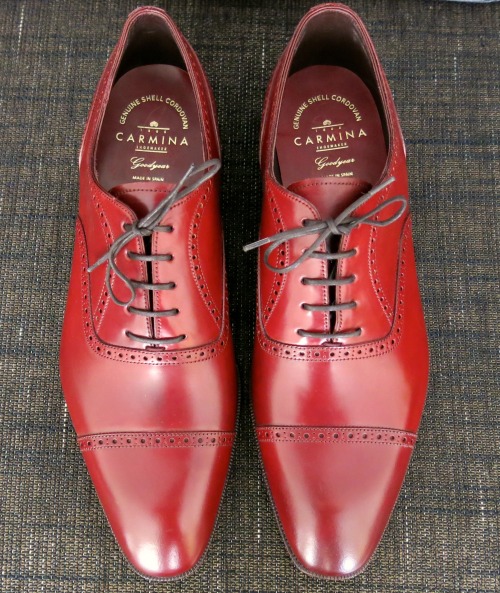 blackshoeblog:  Sunday pics : Carmina Closed Lace Oxford in Ruby Shell Cordovan (80105) on the Simpson last