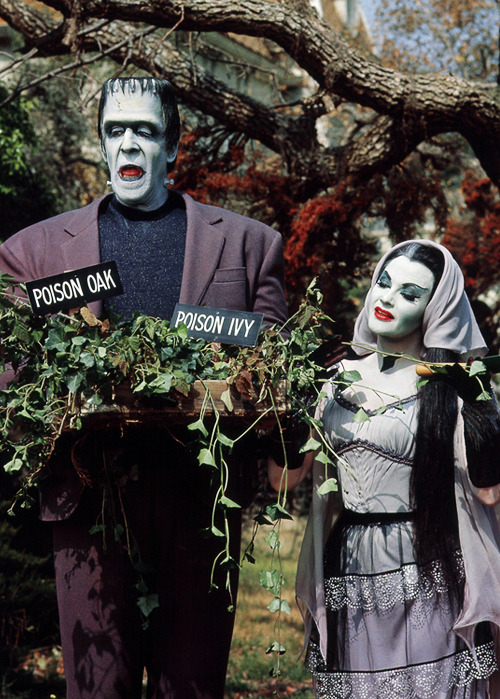 vintagegal: The Munsters c. 1960s