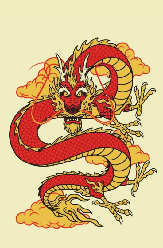 Ferrets = Dragons