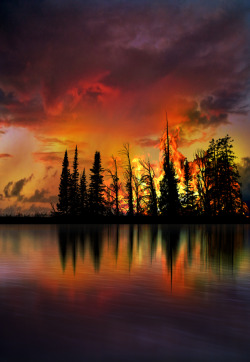 wowtastic-nature:  2315 by  peter holme iii