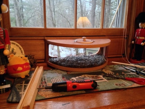 leafla:  lilymphotos:  We got a cool bird feeder and it has the birds come into your room!!! It has a one way mirror so they don’t know you’re right there watching them.  THATS SO ADORABLE 