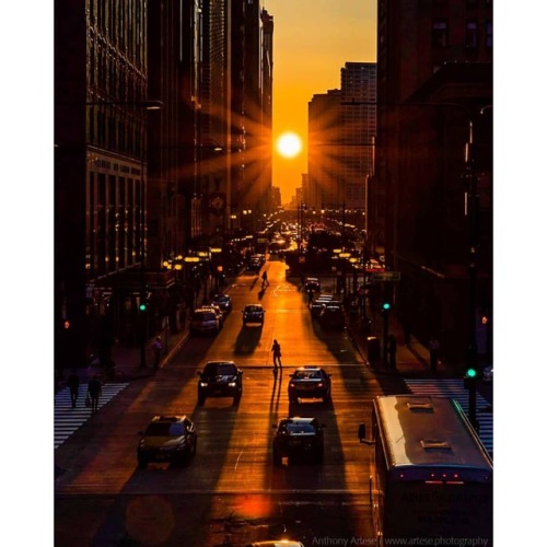 Equinox in an Aligned City #nasa #apod #equinox #sun #sunset #chicago #modernstonehenge #chicagohenge #earth  #solarsystem #space #science #astronomy