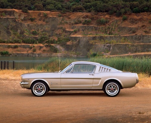 XXX justoldmustangs:  Just old Mustangs Honey photo