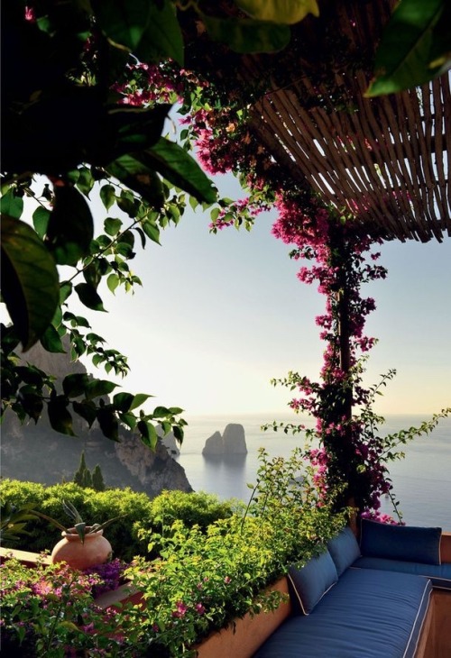 traveling-and-explore: Capri Italy