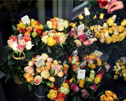 clubmonaco:  Some flowers I saw in Paris. -Weston Wells