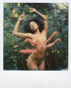 polabeard:  @missjessajordan | SX70 Polaroids