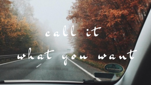 youfitinmypoem: Taylor Swift + most autumnal songs 