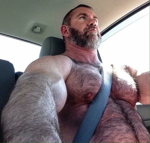 bavarianbear: Muscle fur
