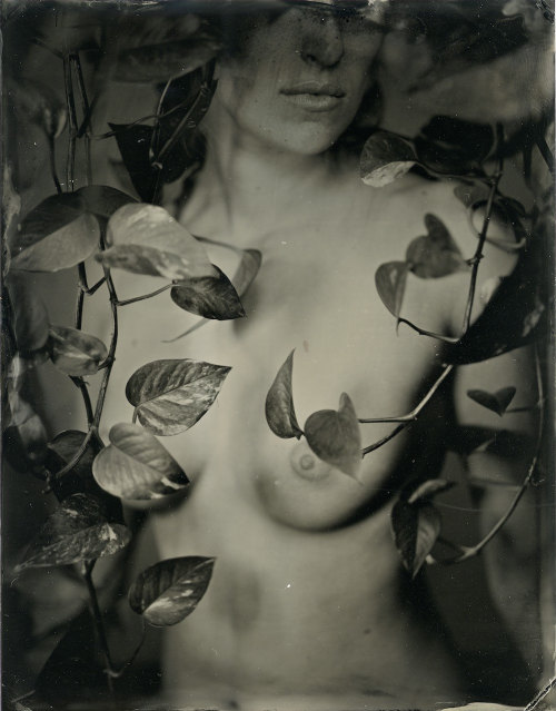 brookelabrie:  original 4x5 tintype now available for salefeel free to contact me if you have any questions