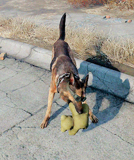 nickvalentine: Giving Dogmeat a teddy bear