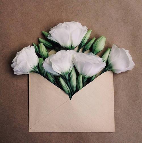 culturenlifestyle:  Flower Bouquets in Vintage EnvelopesKiev-based artist Anna Remarchuk showcases stunning images of her flower bouquets inserted in envelopes on her Instagram account. Remarchuk delicately styles lush flowers into vintage envelopes,