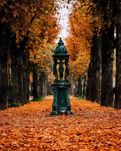 autumncozy: By frankyyy007