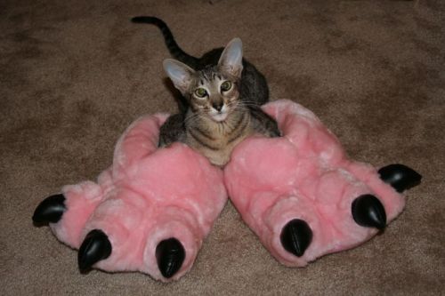 tiredfutch:he boot too big for he gotdamn feetOh note