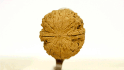 itscolossal:  Stop-Motion Animation Reveals the Insides of Objects Sanded Down Layer by Layer [VIDEO]