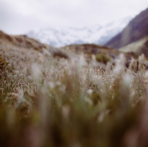 jeffmasamori: Hooker Valley Track Aoraki, New Zealand 2017