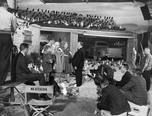 horror-movie-confessions: Behind the scenes of The Birds (1963)