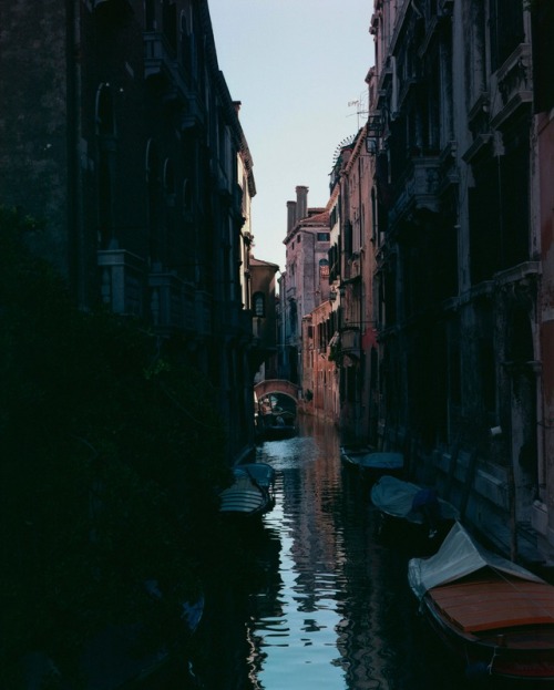Venice Photographed by Yarden Lawson