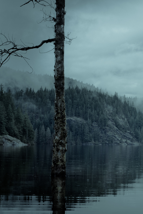 asthmas:Helon Law, Lonely Lake