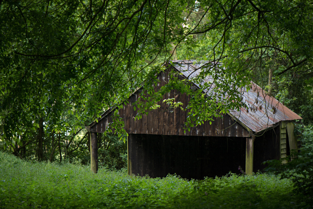 christinemlewis:  The wood shed 