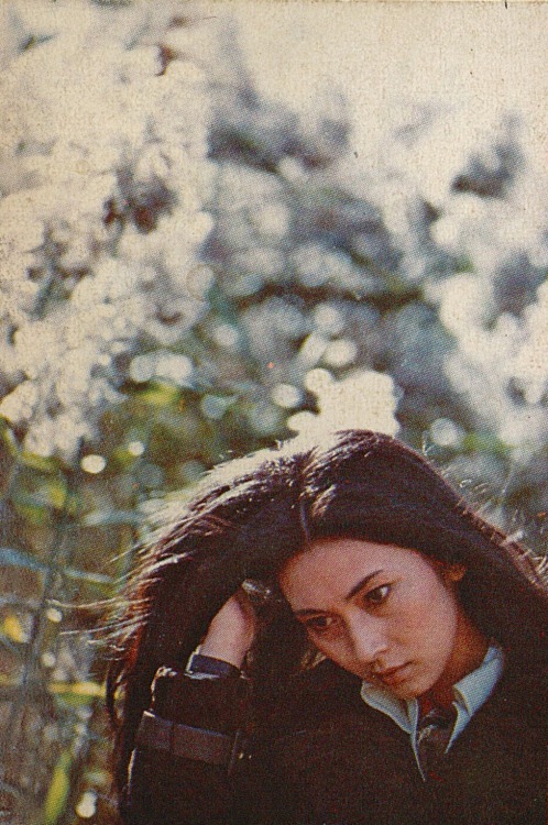 fuckyeahmeikokaji: Meiko Kaji (梶芽衣子) Scanned from an obi strip on a copy of the novel Three Sisters 