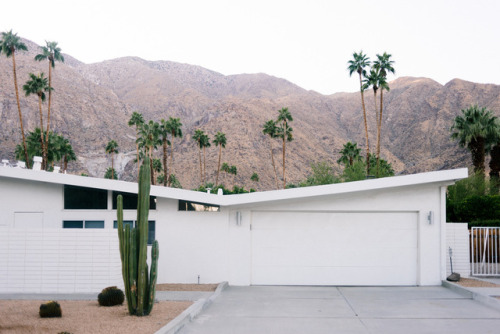 joelzimmer: Old Las Palmas Palm Springs, California living in a dream