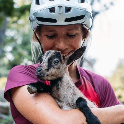 macaroni-ho: hannahbarnes66The best rides usually involve animals, this baby goat was so cute!! #iam