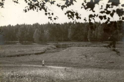 O dia-a-dia de Liev Tolstói em nove fotografias raras e algumas inéditas.