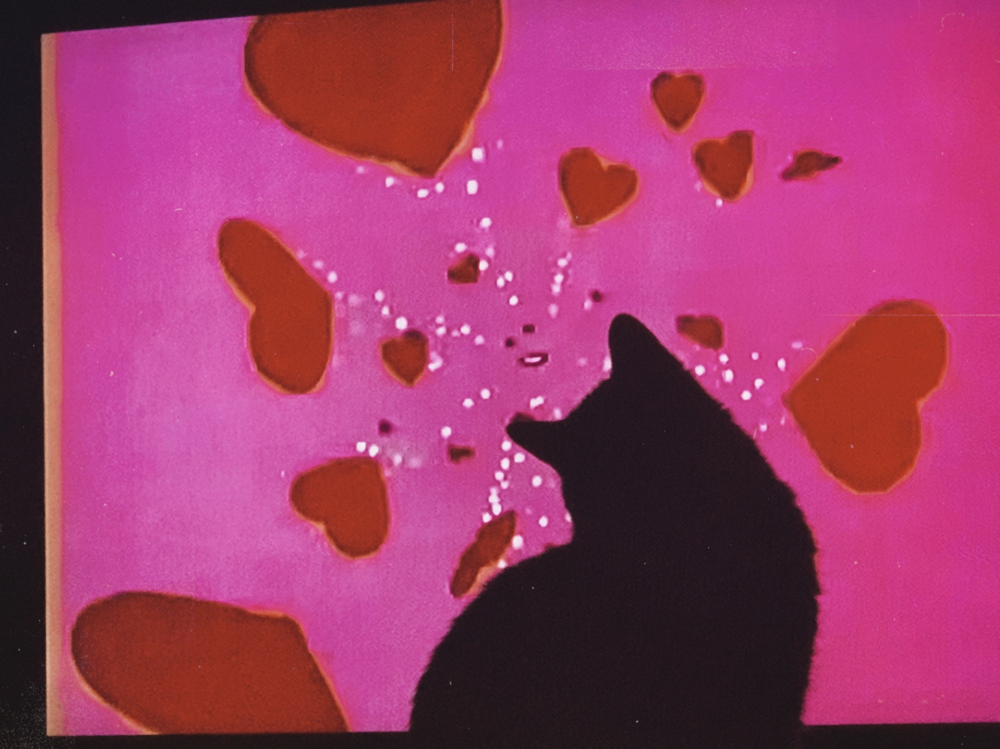 mybloodiedvalentine:My cat watching the Care Bears cartoon 