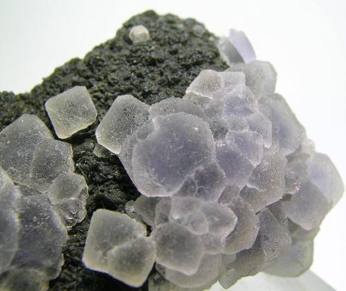 hematitehearts:  Fluorite on Clinochlore MatrixLocality:   Panasqueira Mine, Beira Baixa, Portugal